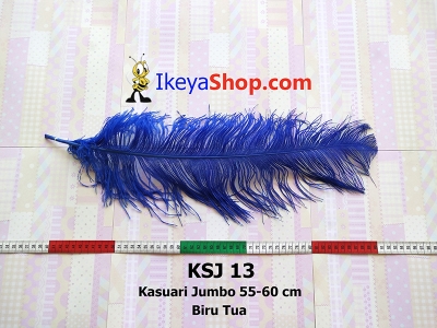 KSJ 13  large2